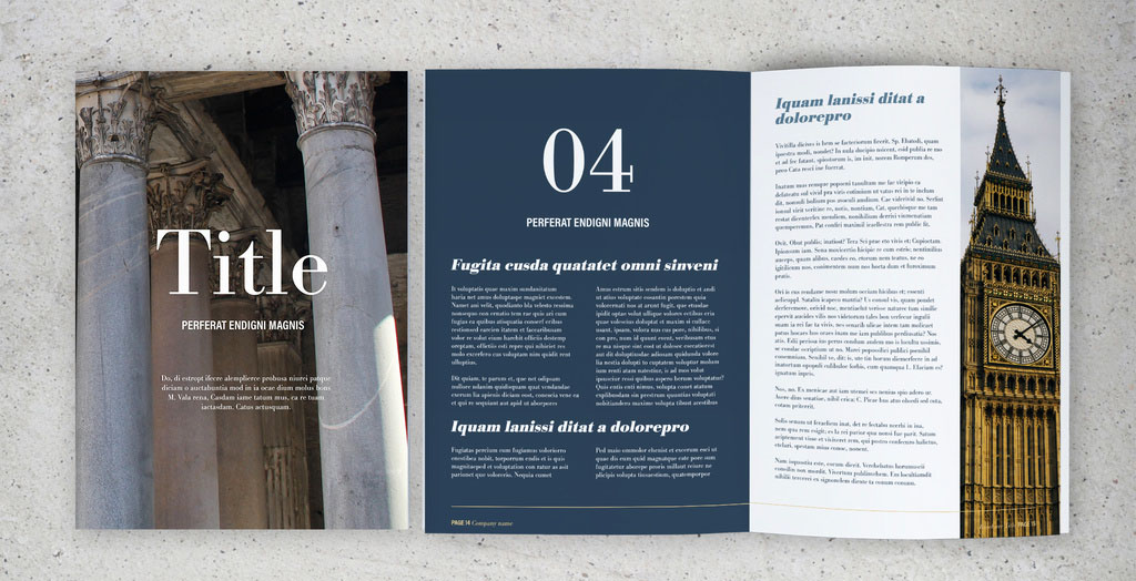 Blue and White Brochure Layout
