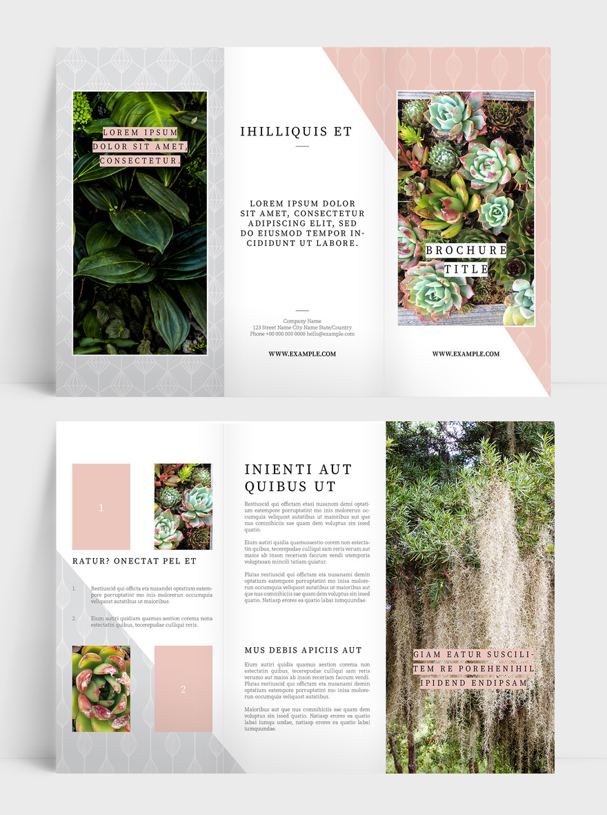 Free Tri-Fold Brochure Template for InDesign INDD
