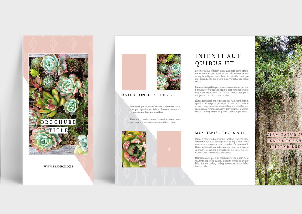 Free Tri-Fold Brochure Template for InDesign INDD