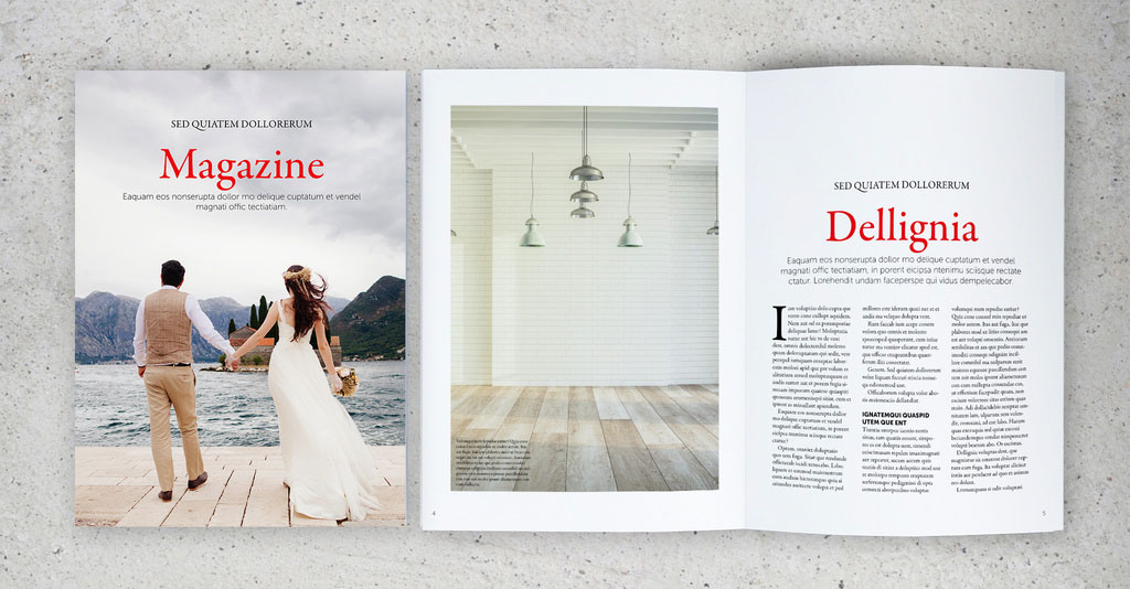Magazine Layout with Visual Variety with Red Accents