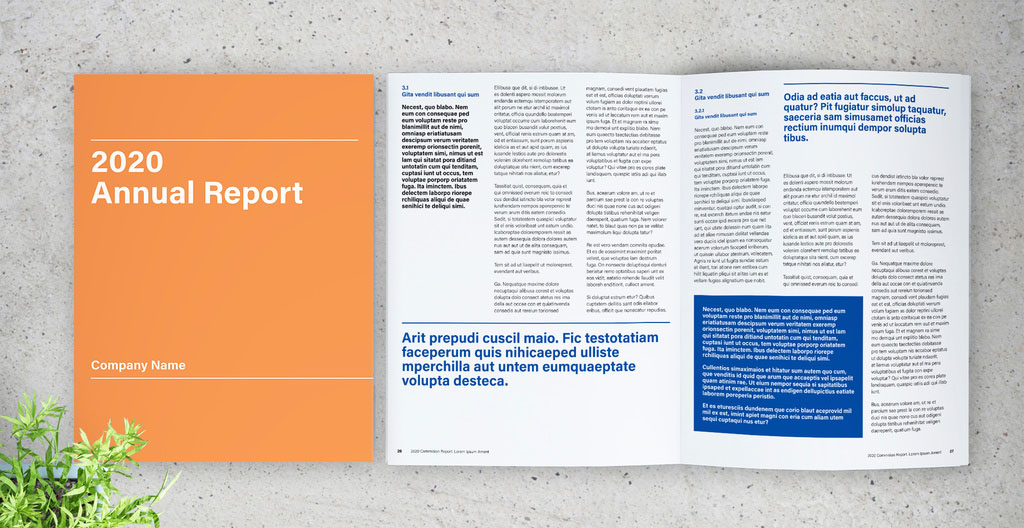 Minimalist Business Annual Report with Blue Accents Brochure