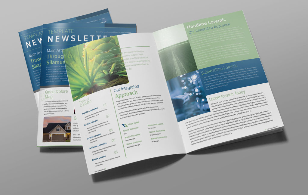  Newsletter Layout with Blue and Green Accents