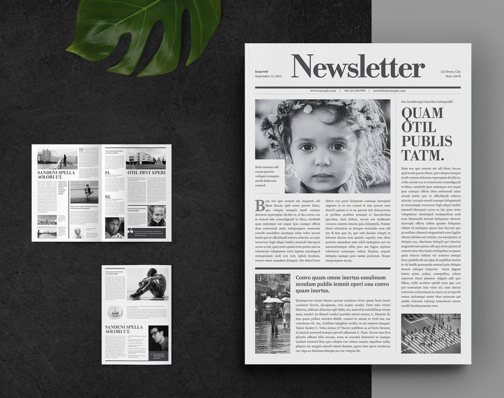 Newsletter Layout with Gray Accents