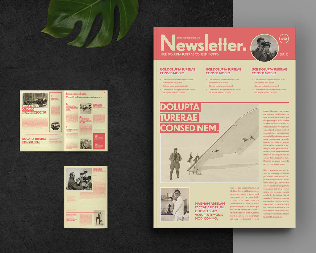 Newsletter Layout with Pink Accents