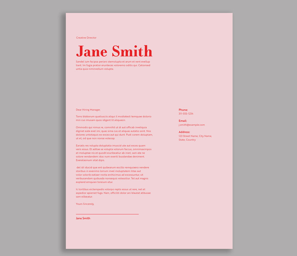 Pink Resume Layout Design