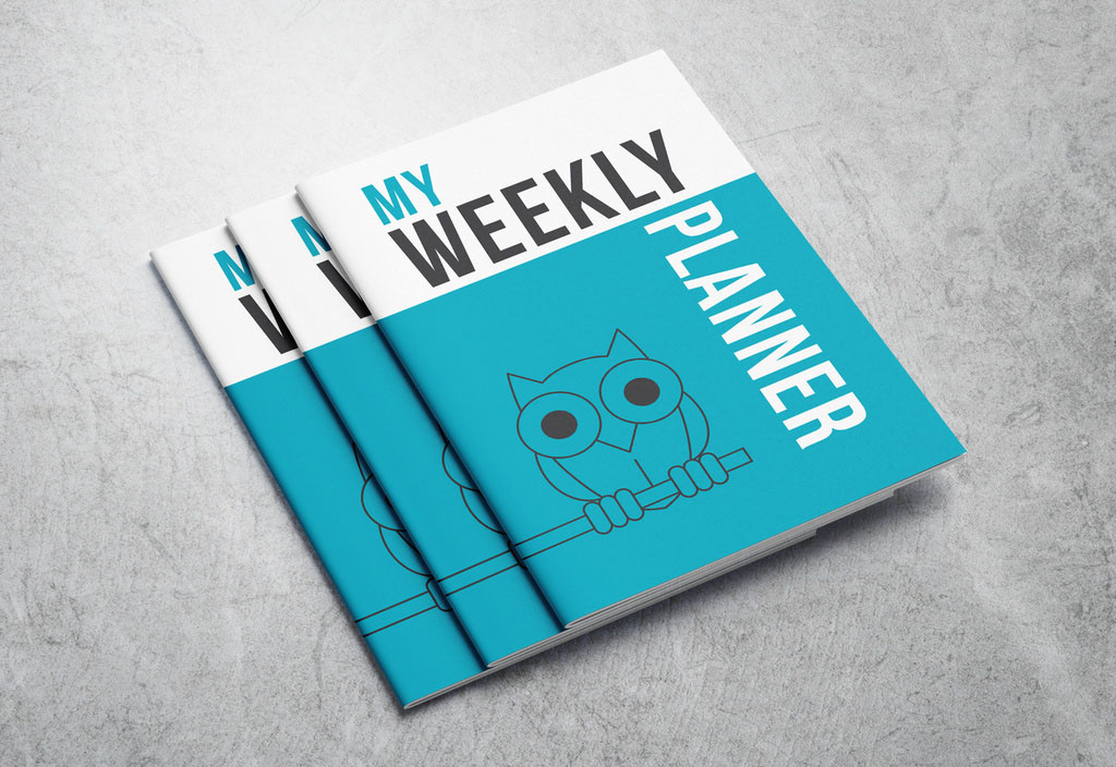 Weekly Planner Layout with Blue Accents and Owl Illustration
